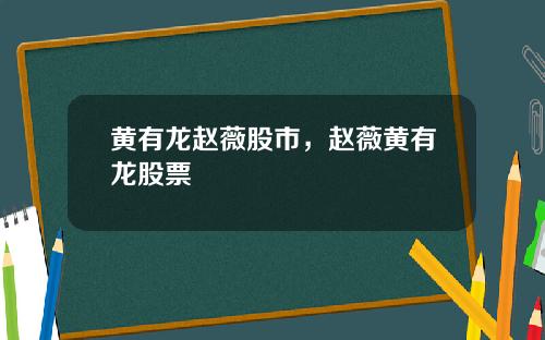黄有龙赵薇股市，赵薇黄有龙股票
