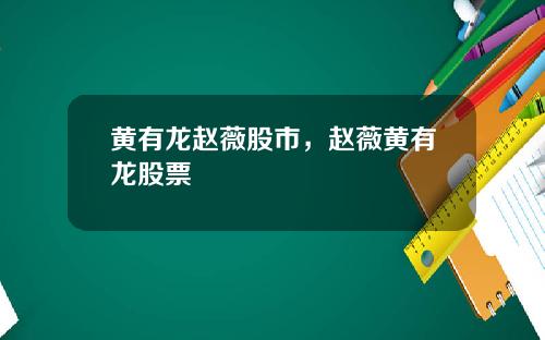 黄有龙赵薇股市，赵薇黄有龙股票