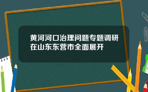 黄河河口治理问题专题调研在山东东营市全面展开