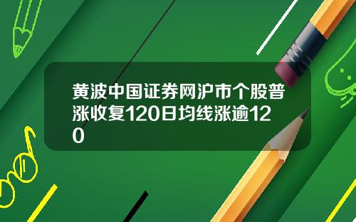黄波中国证券网沪市个股普涨收复120日均线涨逾120