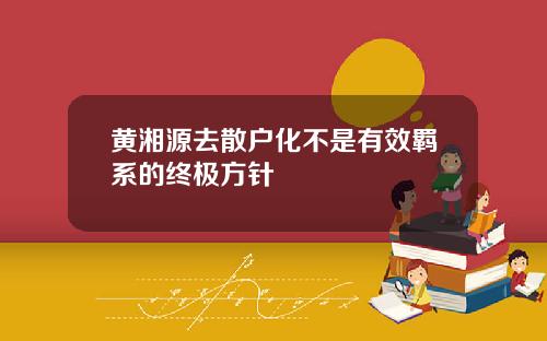 黄湘源去散户化不是有效羁系的终极方针