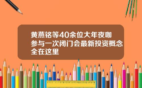 黄燕铭等40余位大年夜咖参与一次闭门会最新投资概念全在这里