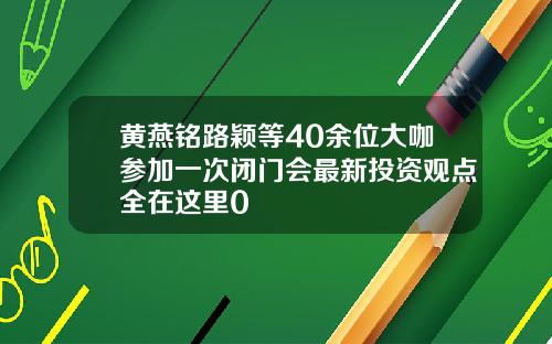黄燕铭路颖等40余位大咖参加一次闭门会最新投资观点全在这里0