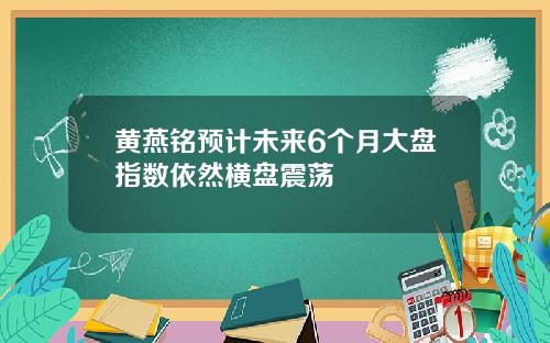 黄燕铭预计未来6个月大盘指数依然横盘震荡
