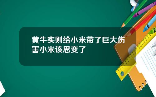 黄牛实则给小米带了巨大伤害小米该思变了