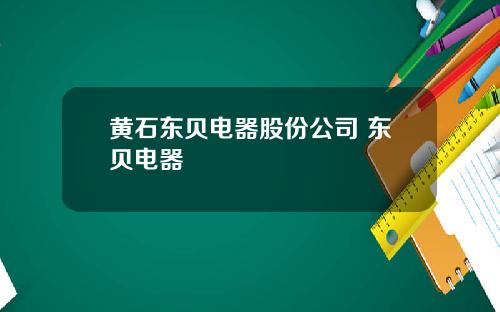 黄石东贝电器股份公司 东贝电器