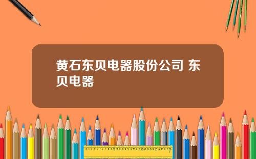 黄石东贝电器股份公司 东贝电器