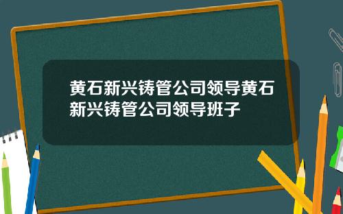 黄石新兴铸管公司领导黄石新兴铸管公司领导班子