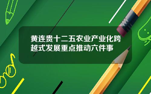 黄连贵十二五农业产业化跨越式发展重点推动六件事