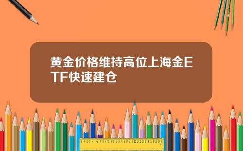 黄金价格维持高位上海金ETF快速建仓