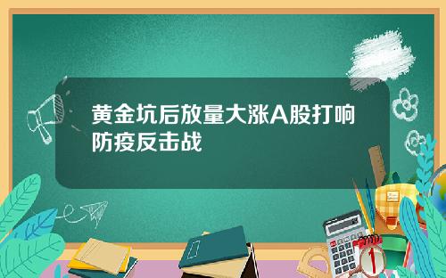 黄金坑后放量大涨A股打响防疫反击战