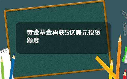 黄金基金再获5亿美元投资额度