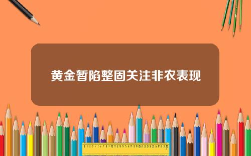 黄金暂陷整固关注非农表现
