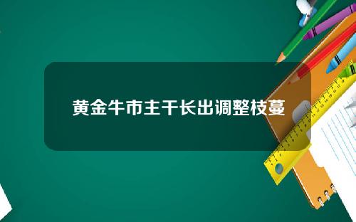 黄金牛市主干长出调整枝蔓