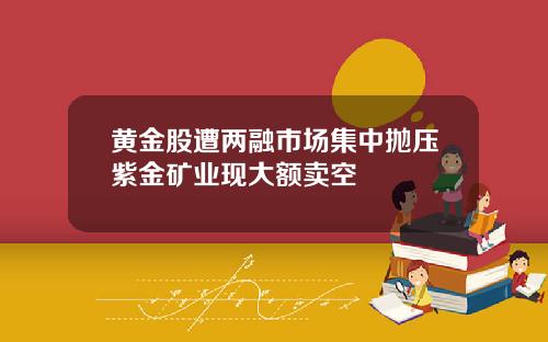 黄金股遭两融市场集中抛压紫金矿业现大额卖空