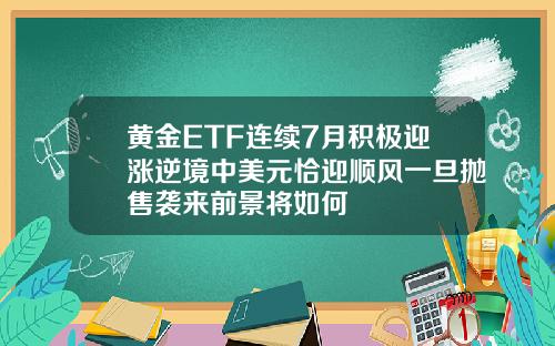黄金ETF连续7月积极迎涨逆境中美元恰迎顺风一旦抛售袭来前景将如何