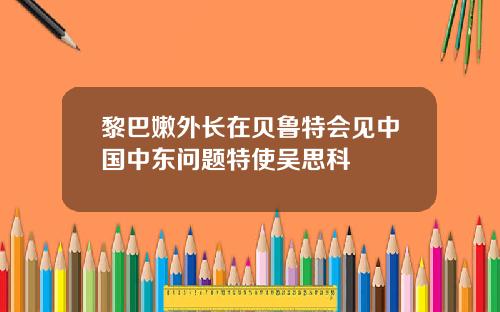 黎巴嫩外长在贝鲁特会见中国中东问题特使吴思科