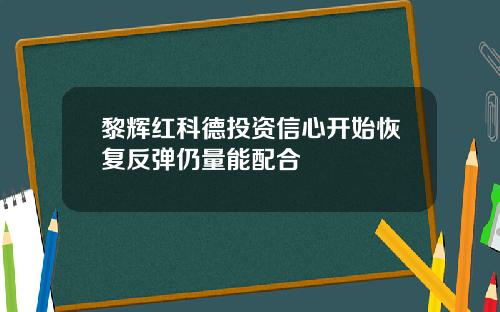 黎辉红科德投资信心开始恢复反弹仍量能配合