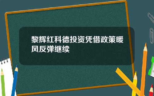 黎辉红科德投资凭借政策暖风反弹继续
