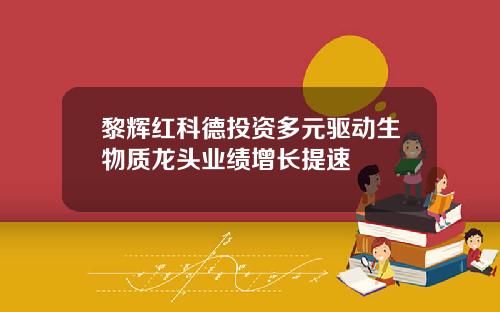 黎辉红科德投资多元驱动生物质龙头业绩增长提速