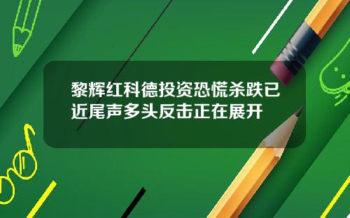 黎辉红科德投资恐慌杀跌已近尾声多头反击正在展开