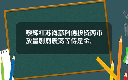 黎辉红苏海彦科德投资两市放量剧烈震荡等待是金.