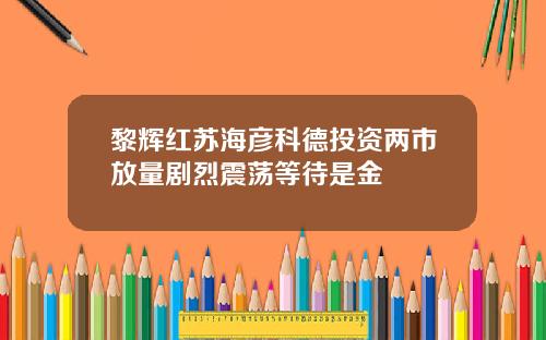 黎辉红苏海彦科德投资两市放量剧烈震荡等待是金