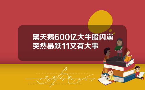 黑天鹅600亿大牛股闪崩突然暴跌11又有大事