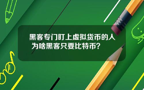 黑客专门盯上虚拟货币的人 为啥黑客只要比特币？