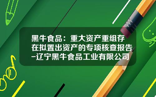 黑牛食品：重大资产重组存在拟置出资产的专项核查报告-辽宁黑牛食品工业有限公司