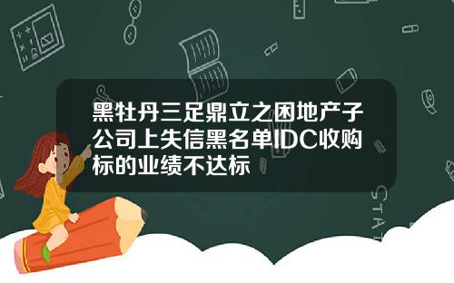 黑牡丹三足鼎立之困地产子公司上失信黑名单IDC收购标的业绩不达标
