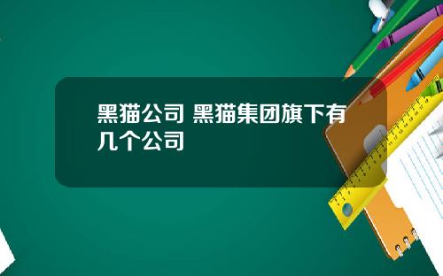 黑猫公司 黑猫集团旗下有几个公司