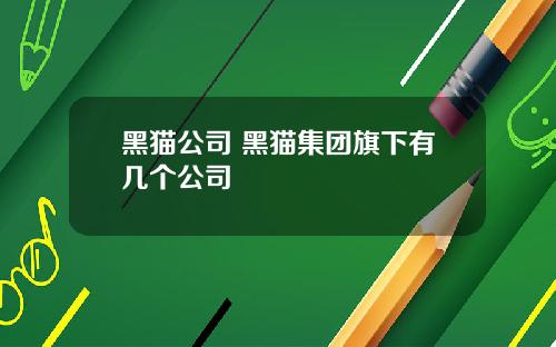 黑猫公司 黑猫集团旗下有几个公司