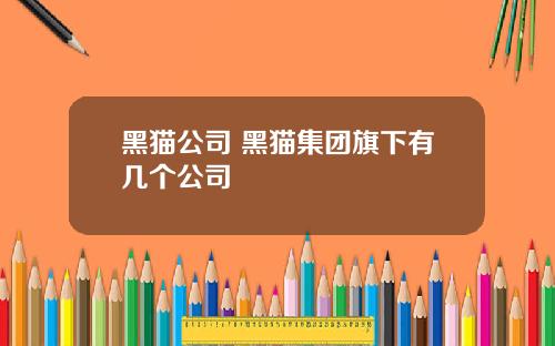 黑猫公司 黑猫集团旗下有几个公司