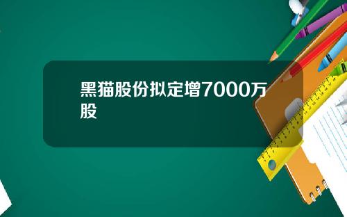 黑猫股份拟定增7000万股
