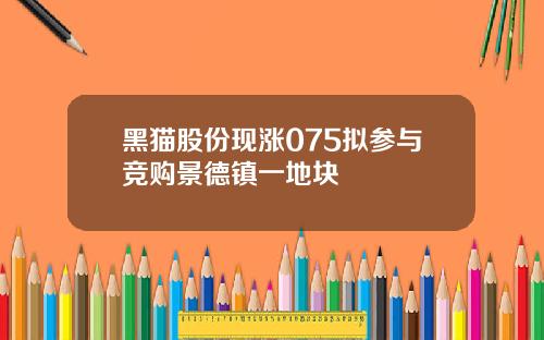 黑猫股份现涨075拟参与竞购景德镇一地块