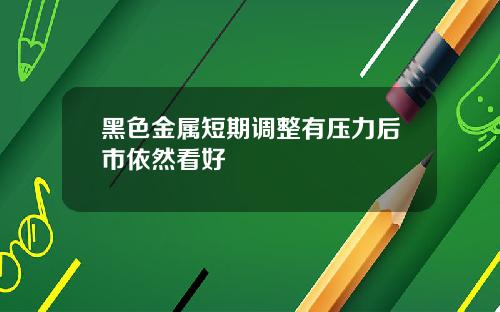 黑色金属短期调整有压力后市依然看好