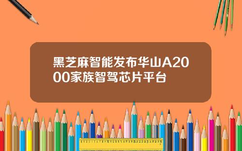 黑芝麻智能发布华山A2000家族智驾芯片平台