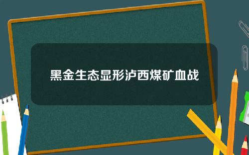 黑金生态显形泸西煤矿血战