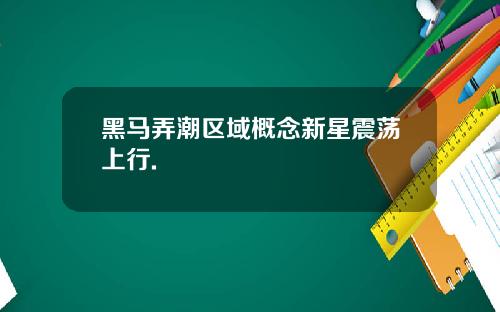 黑马弄潮区域概念新星震荡上行.