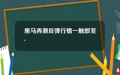 黑马弄潮反弹行情一触即发.