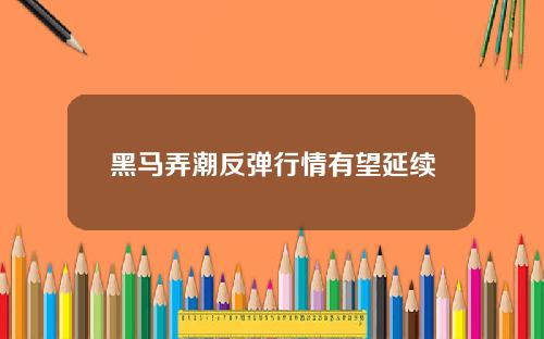 黑马弄潮反弹行情有望延续