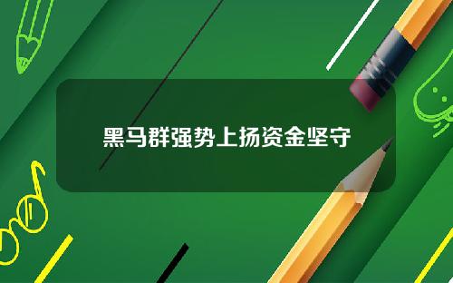 黑马群强势上扬资金坚守