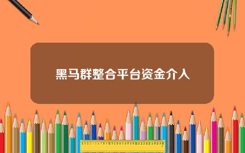 黑马群整合平台资金介入