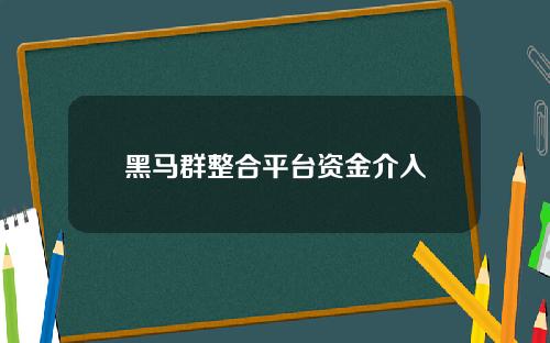黑马群整合平台资金介入