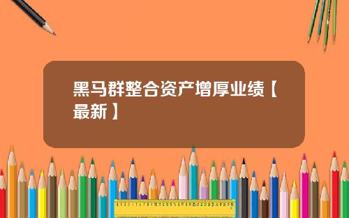 黑马群整合资产增厚业绩【最新】