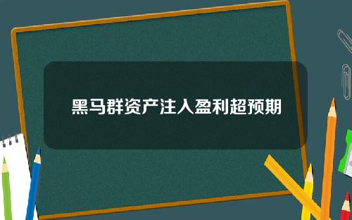 黑马群资产注入盈利超预期