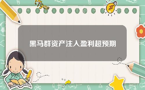 黑马群资产注入盈利超预期