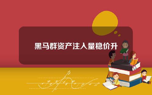 黑马群资产注入量稳价升