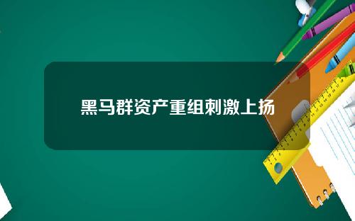 黑马群资产重组刺激上扬